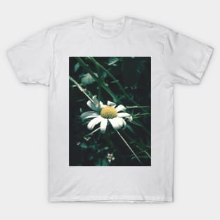 Daisy T-Shirt